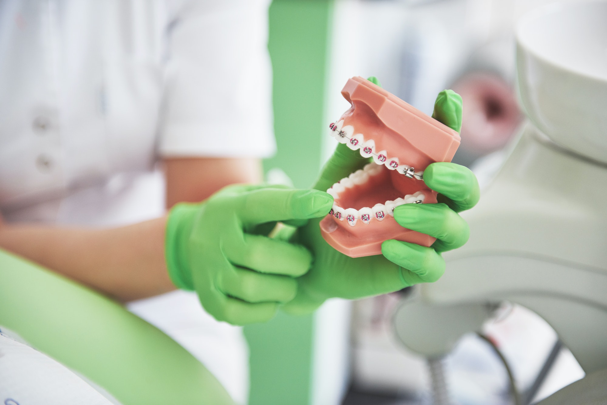 Dentist demonstrating how braces straighten teeth using a model jaw
